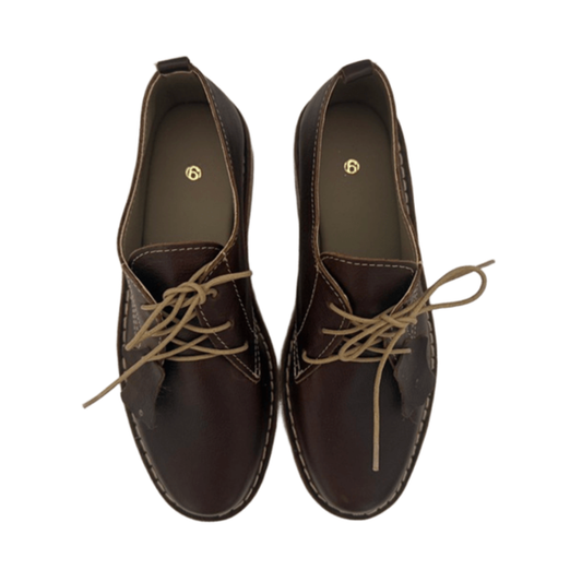 Pair of brown leather shoes with tan laces on a white background From above