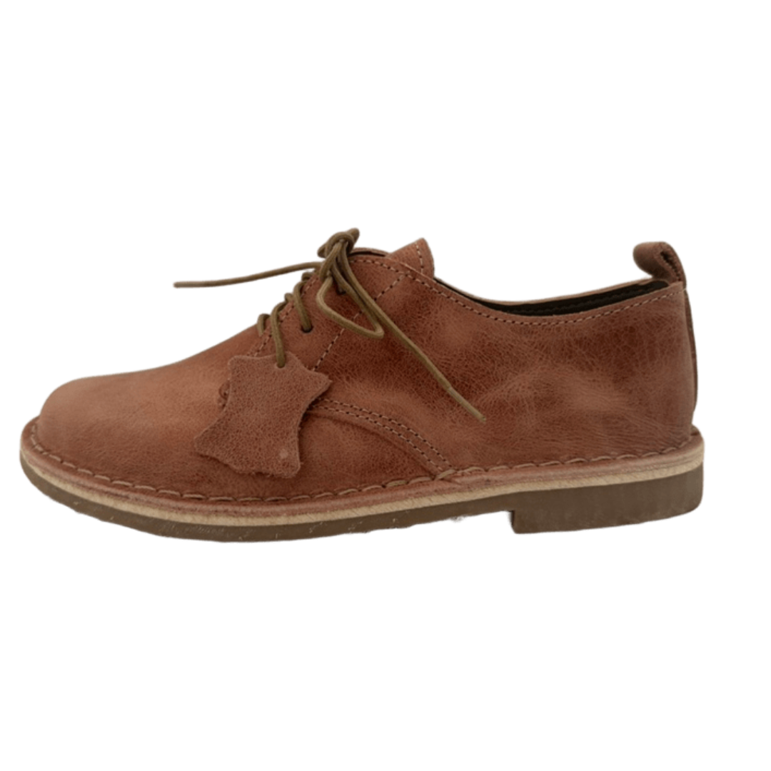 Brown leather shoe on a white background from the side