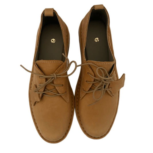 Pair of tan leather shoes on a white background from above